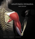 Anatomía humana