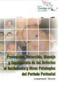Prevención, detección, manejo y seguimiento de los defectos al nacimiento y otras patologías del periodo perinatal : lineamiento técnico